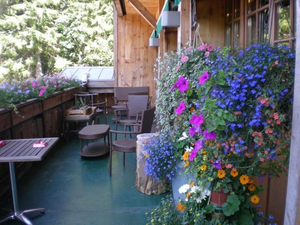 Chalet Hotel Le Collet Xonrupt-Longemer Ngoại thất bức ảnh